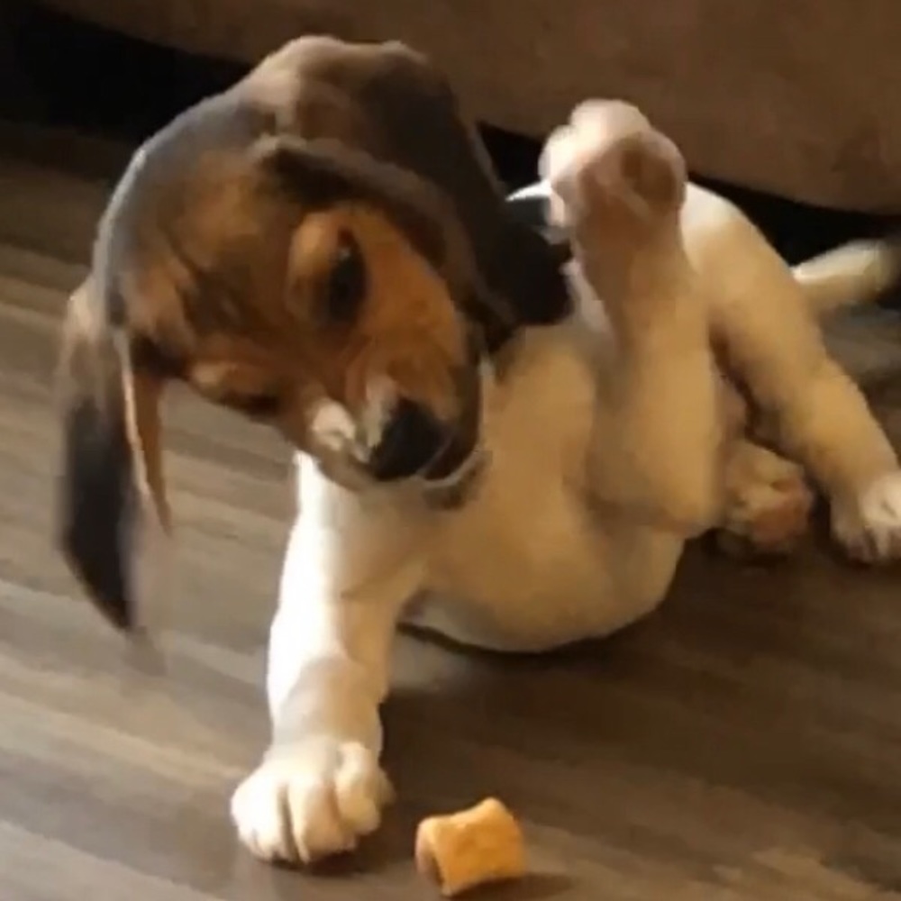 Slamming Down on Deals! Everything must go!!